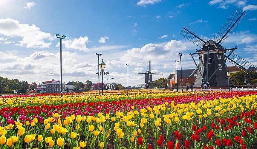 KYUSHU SPRING ROMANCE (HUISTEN BOSCH)