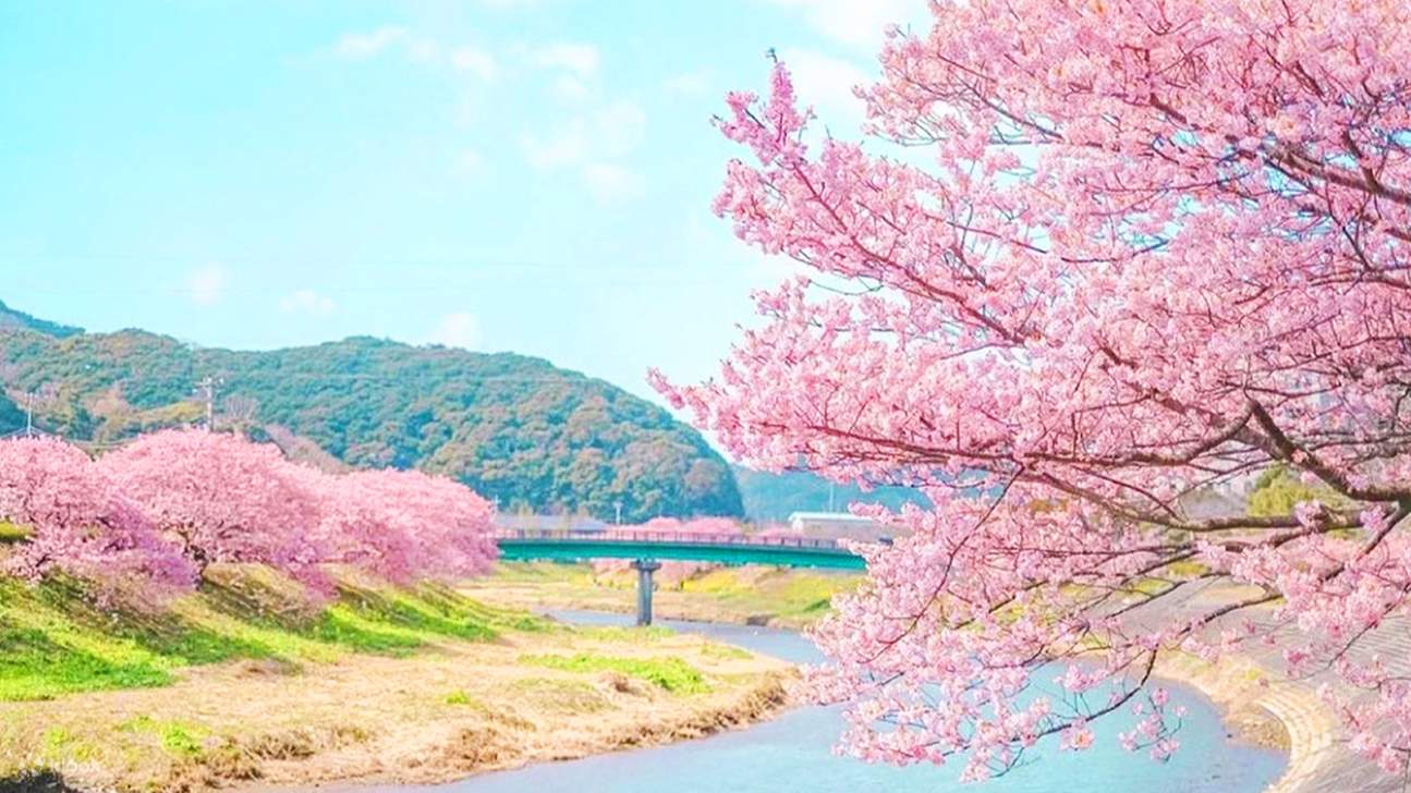 SPRING WALTZ SAKURA (STRAWBERRY PICKING + ONSEN IN ROOM)